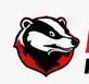 Wisconsin Badger Mobile Wash service area mark